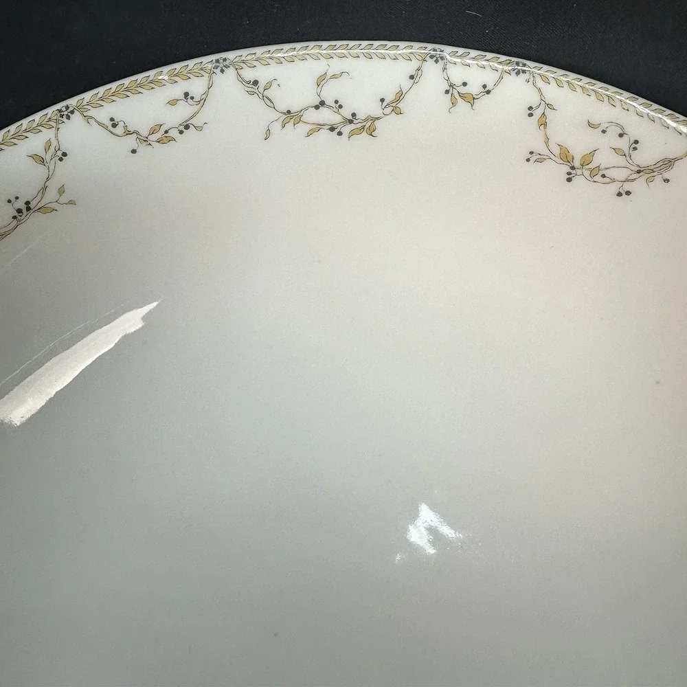 Haviland & Co. Limoges 9